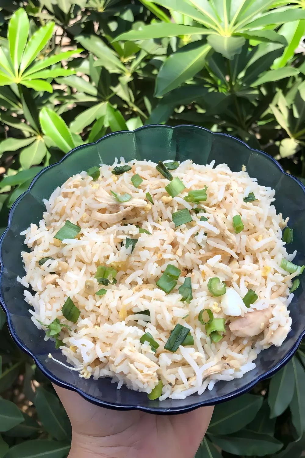 Chicken Fried Rice Recipe