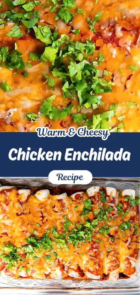 Chicken Enchilada Recipe