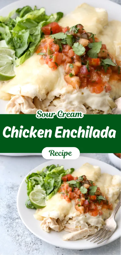 Sour Cream Chicken Enchilada Recipe