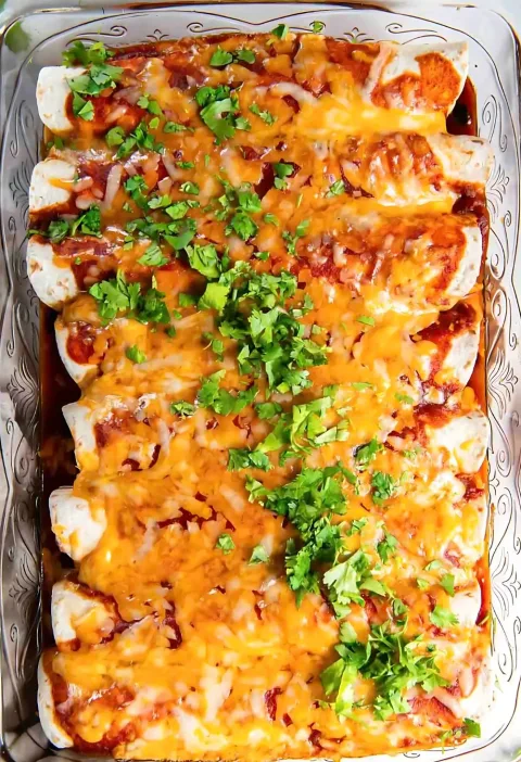 Chicken Enchilada Recipe
